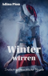 Winterwirren - Adina Pion - E-Book