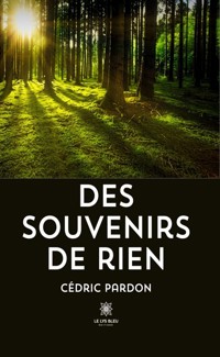 Des souvenirs de rien - Cédric Pardon - E-Book
