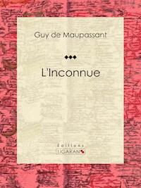 L'Inconnue - Ligaran - E-Book