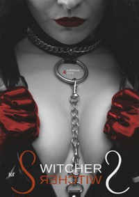 Switcher - K. Fischer - E-Book