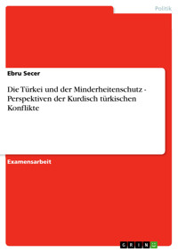 Die Türkei und der Minderheitenschutz - Perspektiven der Kurdisch türkischen Konflikte - Ebru Secer - E-Book