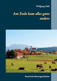 Am Ende kam alles ganz anders - Wolfgang Göltl - E-Book