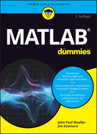 Matlab für Dummies - Jim Sizemore - E-Book