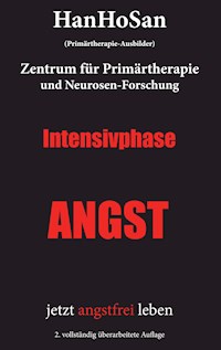 Intensivphase ANGST - HanHo San - E-Book
