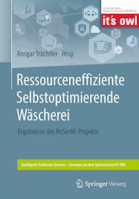 Ressourceneffiziente Selbstoptimierende Wäscherei - - E-Book