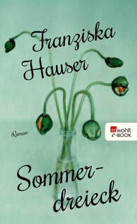 Sommerdreieck - Franziska Hauser - E-Book