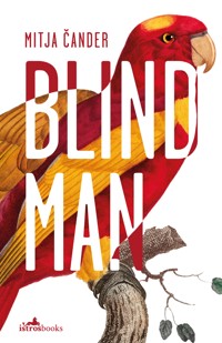 Blind Man - Mitja Čander - E-Book