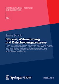 Steuern, Wahrnehmung und Entscheidungsprozesse - Sabine Schmid - E-Book