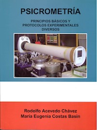 Psicometría. Principios básicos y protocolos experimentales diversos - Rodolfo Acevedo Chávez - E-Book