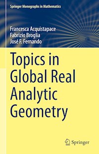 Topics in Global Real Analytic Geometry - Francesca Acquistapace - E-Book