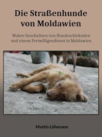 Die Straßenhunde von Moldawien - Mattis Lühmann - E-Book