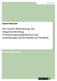 Der Schock Behinderung. Die Diagnosemitteilung, Verarbeitungsmöglichkeiten und Auswirkungen für die Familie im Überblick - Daniel Reichelt - E-Book