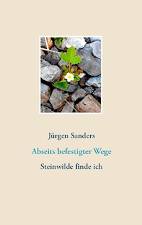 Abseits befestigter Wege - Jürgen Sanders - E-Book