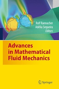 Advances in Mathematical Fluid Mechanics -  - E-Book