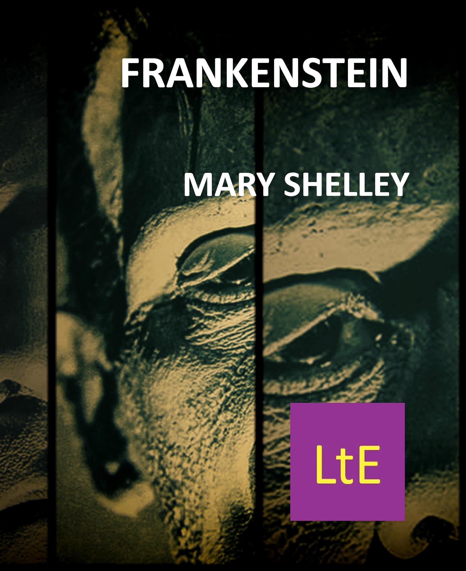 Frankenstein - Mary Shelley - E-Book