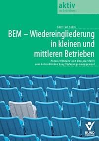 BEM - Wiedereingliederung in kleinen und mittleren Betrieben - Edeltrud Habib - E-Book