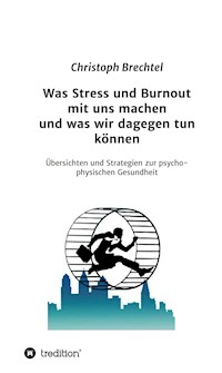 Was Stress und Burnout mit uns machen und was wir dagegen tun können - Christoph Brechtel - E-Book
