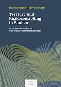 Treasury und Risikocontrolling in Banken - Sebastian Bodemer - E-Book