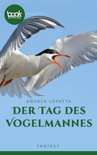 Der Tag des Vogelmannes - Andrea Lopatta - E-Book
