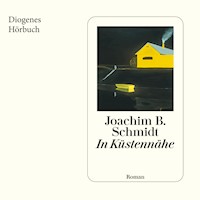 In Küstennähe - Joachim B. Schmidt - Hörbuch