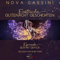 Sex mit dem Ex - Erotische Gutenacht Geschichten, Band 10 (ungekürzt) - Nova Cassini - Hörbuch