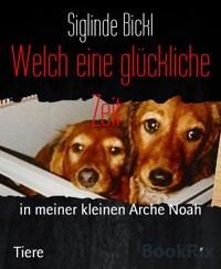 Welch eine glückliche Zeit - Siglinde Bickl - E-Book