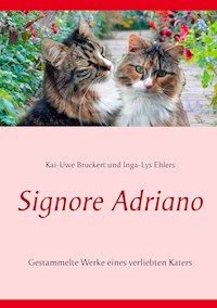 Signore Adriano - Kai-Uwe Bruckert - E-Book