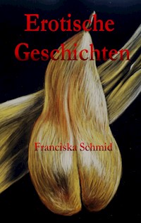 Erotische Geschichten - Franciska Schmid - E-Book