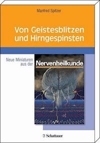 Von Geistesblitzen und Hirngespinsten - Manfred Spitzer - E-Book