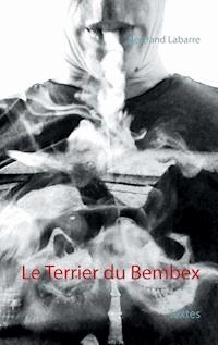 Le Terrier du Bembex - Bertrand Labarre - E-Book