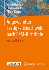 Angewandter Festigkeitsnachweis nach FKM-Richtlinie - Michael Wächter - E-Book