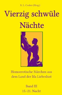 Vierzig schwüle Nächte 3 - Xaver Ludwig Cocker - E-Book