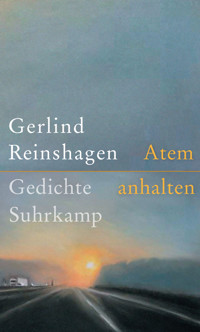 Atem anhalten - Gerlind Reinshagen - E-Book