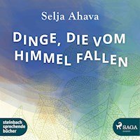 Dinge, die vom Himmel fallen (Ungekürzt) - Selja Ahava - Hörbuch