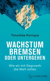 Wachstum bremsen oder untergehen - Timothée Parrique - E-Book