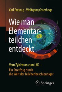 Wie man Elementarteilchen entdeckt - Carl Freytag - E-Book