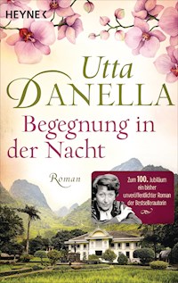 Begegnung in der Nacht - Utta Danella - E-Book