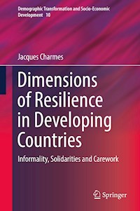 Dimensions of Resilience in Developing Countries - Jacques Charmes - E-Book
