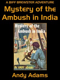 Mystery of the Ambush in India - Andy Adams - E-Book