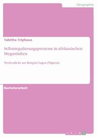 Selbstregulierungsprozesse in afrikanischen Megastädten - Tabitha  Triphaus - E-Book