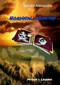 NordWallschatten - Sándor Alexandre - E-Book