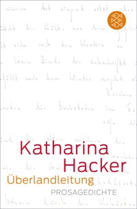 Überlandleitung - Katharina Hacker - E-Book