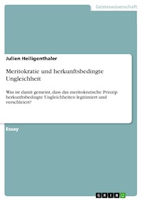 Meritokratie und herkunftsbedingte Ungleichheit - Julien Heiligenthaler - E-Book