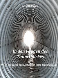 In den Fängen des Tunnelblickes - David  Hoffmann - E-Book