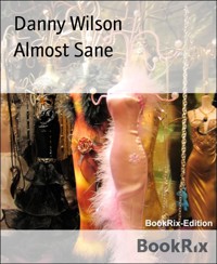 Almost Sane - Danny Wilson - E-Book