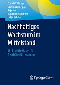 Nachhaltiges Wachstum im Mittelstand - Daniel B. Werner - E-Book