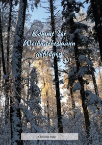 Kommt der Weihnachtsmann geflogen - Christine Stutz - E-Book