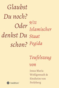 Glaubst Du noch oder denkst Du schon? - Sinsheim von Perleberg - E-Book