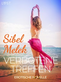 Verbotene Treffen - Erotische Novelle - Sibel Melek - E-Book