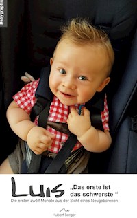 Luis Das erste ist das schwerste - Hubert Berger - E-Book